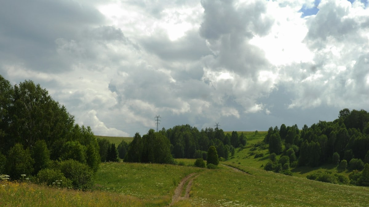 a dirt road going through a lush green field